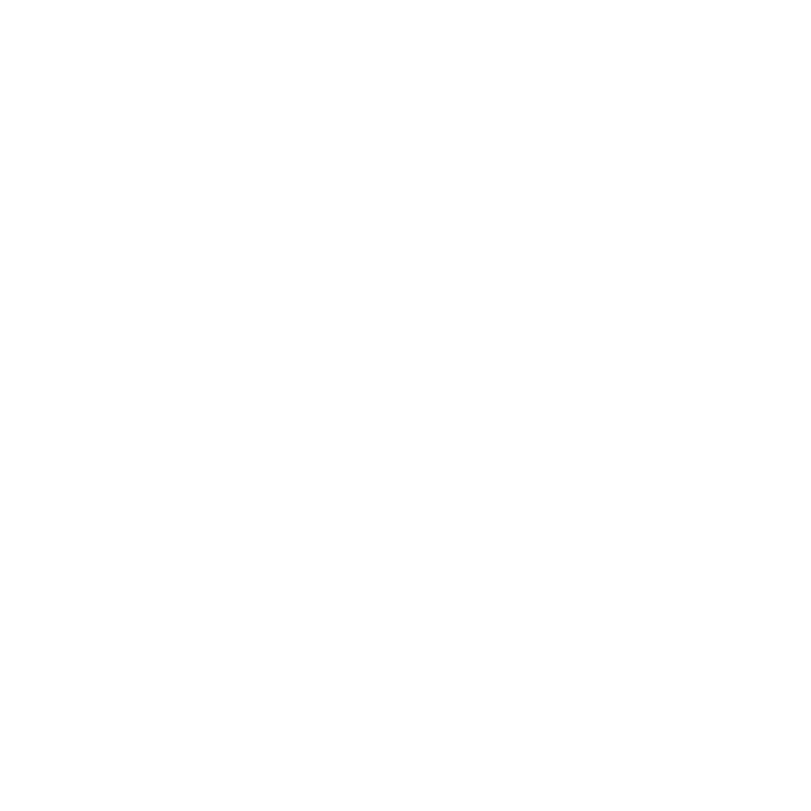 logo main